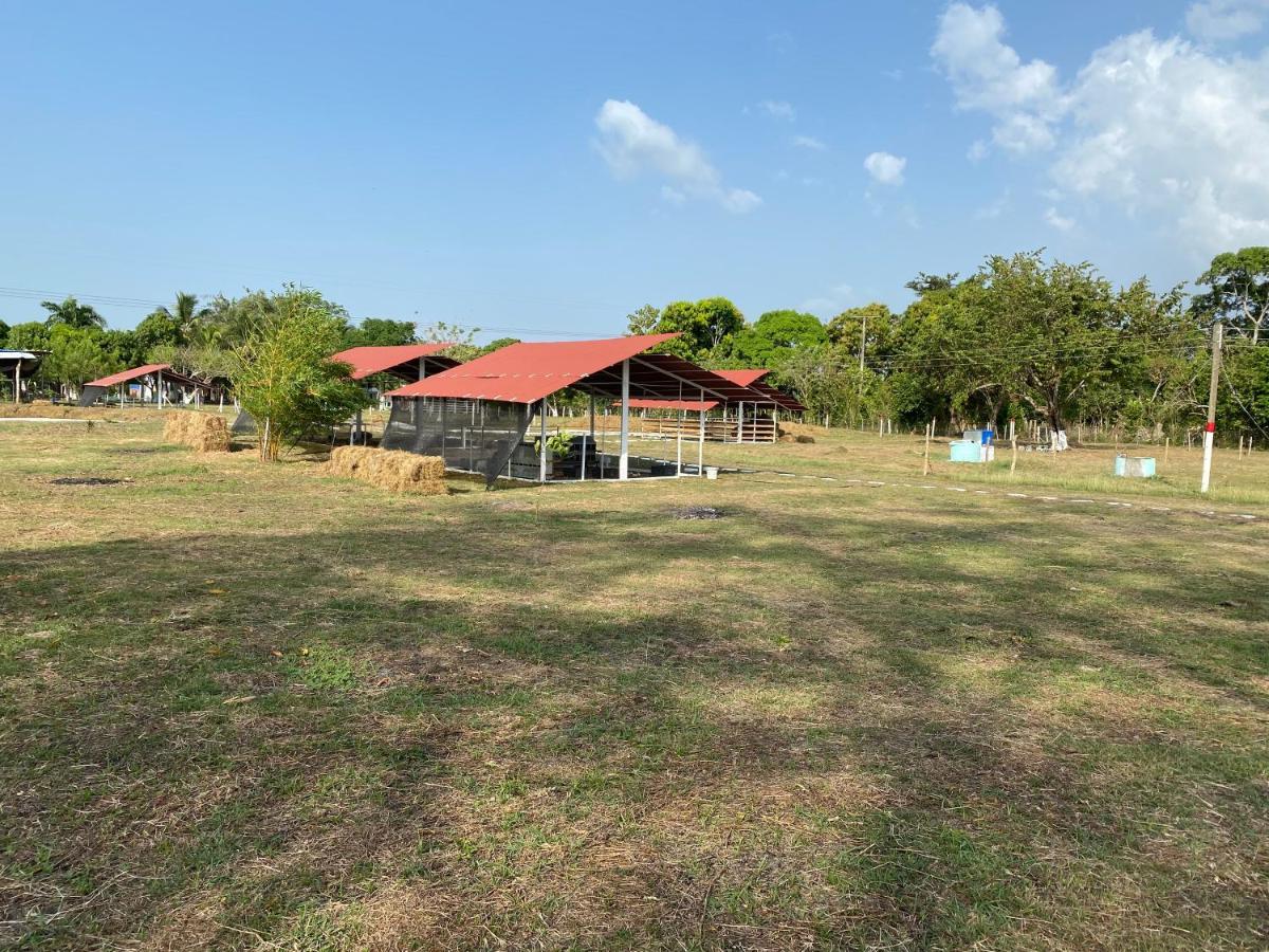 Hotel - Granja De Animales San Basilio De Palenque San Basilio del Palenque 外观 照片