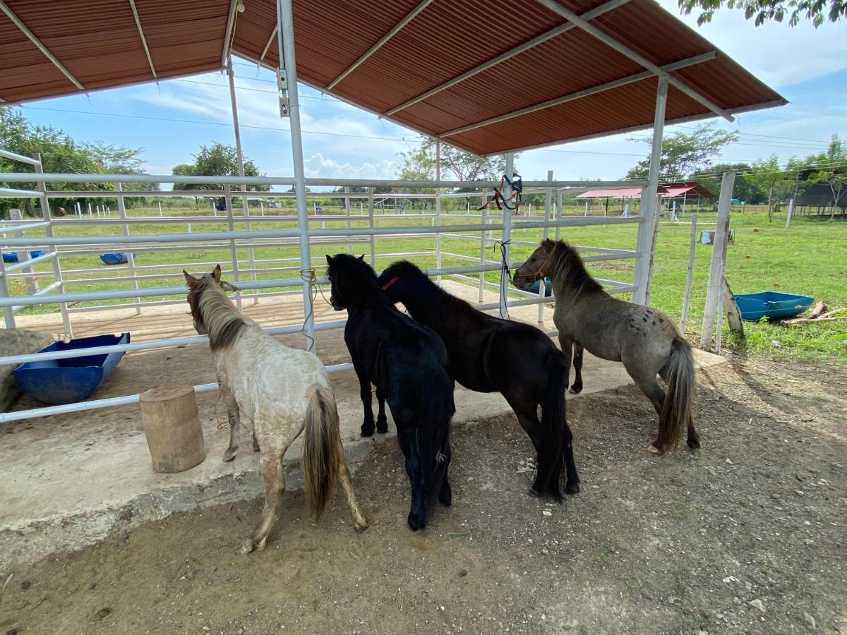 Hotel - Granja De Animales San Basilio De Palenque San Basilio del Palenque 外观 照片