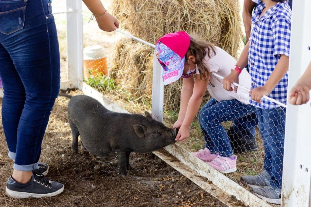 Hotel - Granja De Animales San Basilio De Palenque San Basilio del Palenque 外观 照片