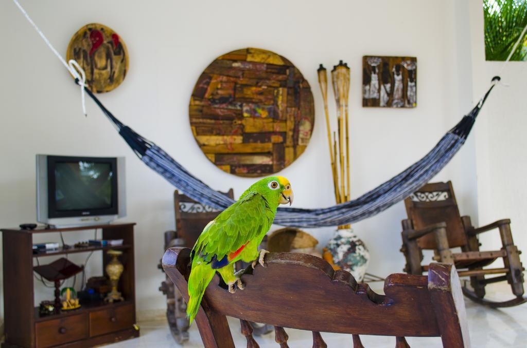 Hotel - Granja De Animales San Basilio De Palenque San Basilio del Palenque 外观 照片