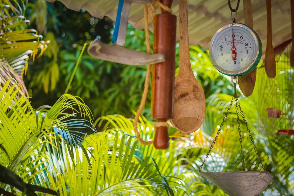 Hotel - Granja De Animales San Basilio De Palenque San Basilio del Palenque 外观 照片